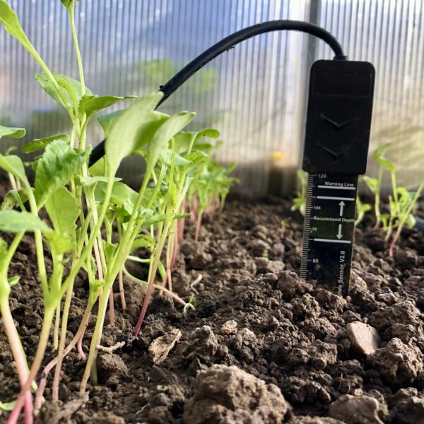 Soil Moisture Sensor